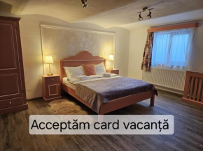 Casa Raduly - Apartament Demisol